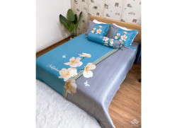 Bộ chăn ga gối Olympia Living OL49