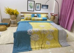 Bộ chăn ga gối Olympia Living OL52