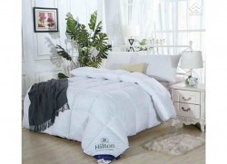 Ruột chăn lông vũ Hilton màu trắng