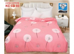 Chăn đông Kim Cương cotton KCCD03