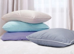 Gối Everon 5s (vỏ + ruột)
