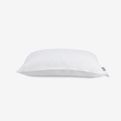 Ruột gối everon STANDARD chính hãng