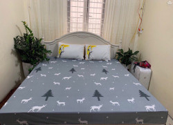Ga chống thấm cotton hoạt hình CTHH09