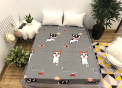 Ga chống thấm cotton hoạt hình CTHH39