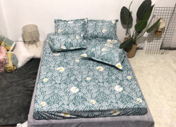 Ga chống thấm cotton hoạt hình CTHH65
