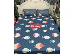 Ga chống thấm cotton hoạt hình CTHH71