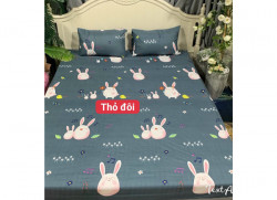 Ga chống thấm cotton hoạt hình CTHH72