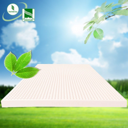 Đệm cao su Đồng Phú Massage White