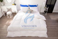 Ruột chăn lông vũ Vinadown dày màu trắng