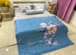 Bộ chăn ga gối Olympia Living OL61
