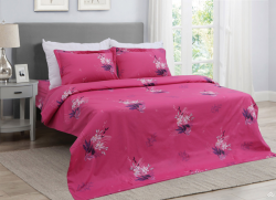 Chăn đông Sông Hồng Basic TC BT21038 150x210
