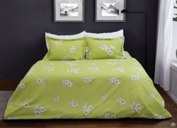 Chăn đông Sông Hồng Basic TC BT21039