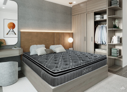 Đệm lò xo Hanvico túi cao cấp Dominic 30cm