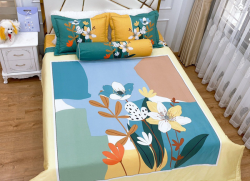 Bộ chăn ga gối Olympia Living OL70