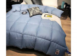 Ruột chăn lông vũ Canada Goose màu xanh mint