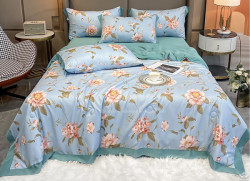 Chăn hè lụa Thái cao cấp CHLT53