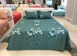 Vỏ chăn xuân thu Sông Hồng basic cotton BC22063 200x220
