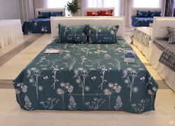 Vỏ gối Sông Hồng Basic cotton BC22050