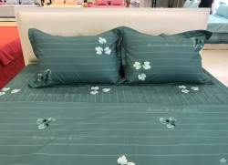 Vỏ gối Sông Hồng Basic cotton BC22063