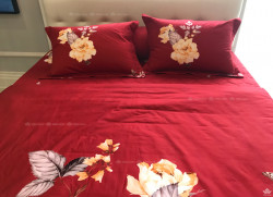 Vỏ gối Sông Hồng Basic cotton BC22064