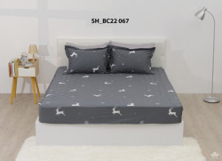 Ga gối Sông Hồng Basic cotton BC22067