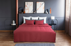 Bộ chăn ga gối Hanvico LIVING - LV29