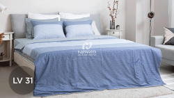 Bộ chăn ga gối Hanvico LIVING - LV31