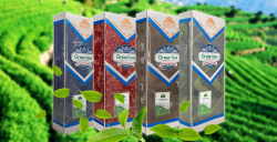 Đệm bông ép bề mặt Foam Kim Cương tinh chất trà xanh