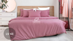 Bộ chăn ga gối Hanvico LIVING - LV43