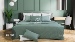 Bộ chăn ga gối Hanvico LIVING - LV40