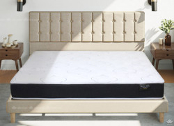 Đệm lò xo KingKoil Harmony 25cm
