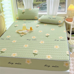 Chiếu cao su non cao cấp bo chun màu xanh cốm hoa lê