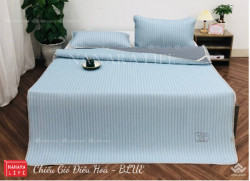 Chiếu gió điều hòa Nanara màu xanh