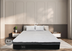 Bộ chiếu mát than hoạt tính S-Cool CT3