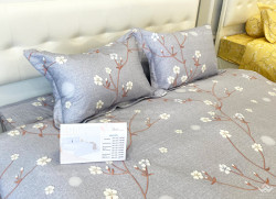 Vỏ gối Sông Hồng Basic cotton BC23075