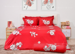 Chăn ga gối Sông Hồng Basic cotton BC23086