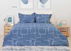 Vỏ chăn xuân thu Sông Hồng basic cotton BC23082
