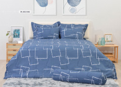 Chăn đông Sông Hồng Basic cotton BC23082