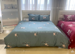 Vỏ gối ôm Sông Hồng Basic cotton BT23077