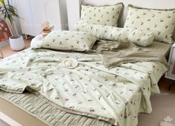 Bộ chăn ga gối cotton 5 món chăn hè ga chun chần 09
