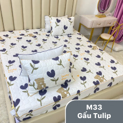 Bộ ga gối chun chần xơ đậu nành mã 33 Gấu Tulip