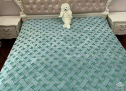 Chăn lông thỏ Pompon kẻ ô màu mã 01 màu xanh lá