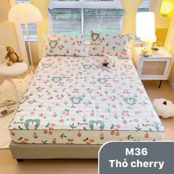 Bộ ga gối chun chần xơ đậu nành mã 36 Thỏ Cherry
