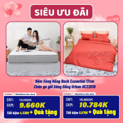 Combo cưới 05: Đệm Sông Hồng Back Essential + Chăn ga gối Sông Hồng Urban UC22018 