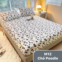 Bộ ga gối chun chần xơ đậu nành mã 12 Chó poodle