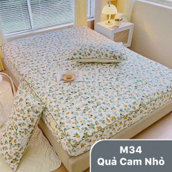 Bộ ga gối chun chần xơ đậu nành mã 34 Quả cam nhỏ