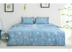Bộ chăn ga gối Hanvico LIVING - LV58