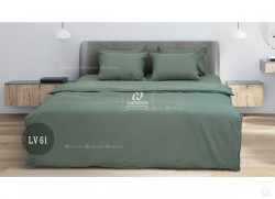 Bộ chăn ga gối Hanvico LIVING - LV61