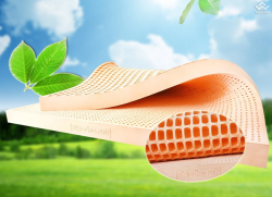 Đệm cao su Đồng Phú Friendly 160x200x5
