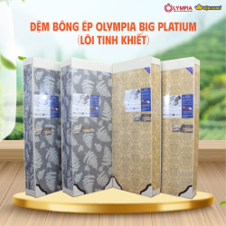 Đệm bông ép Olympia Big Platium (Lõi tinh khiết) (bán chạy nhất Đệm Xanh từ năm 22->24